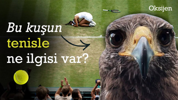 Şahin Rufus | Wimbledon | Avustralya Açık | Roland Garros | ABD Açık | Grand Slam | Kısa Set