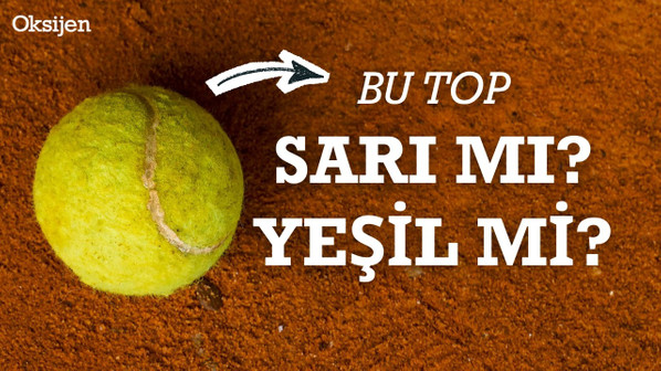Tenis topu rengi neden değişti? | Sadece siyahı ve beyazı vardı | David Attenborough | Kısa Set
