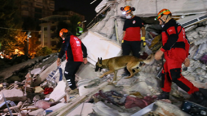 Meksika meşhur arama kurtarma köpeklerini Türkiye'ye yolluyor