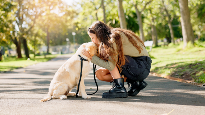 15 bin yıllık ortaklık: İnsanlar ve köpekler birbirlerini nasıl değiştirdi?