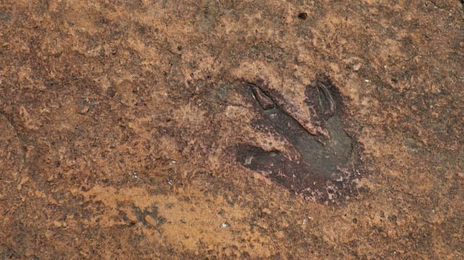 İtalya'da 200 milyon yıl öncesinden kaldığı düşünülen binlerce dinozor ayak izi keşfedildi