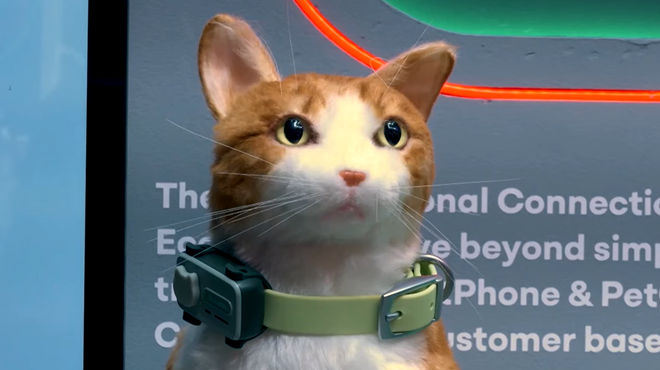 Artık onlar da sizi arayabilecek: Evcil hayvanlar için tasarlanan ilk akıllı telefon tanıtıldı