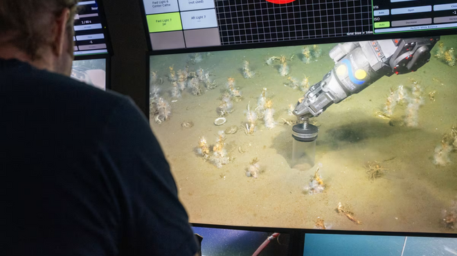 İnsanların en eski akrabaları okyanus çamurunda mı yaşıyor?