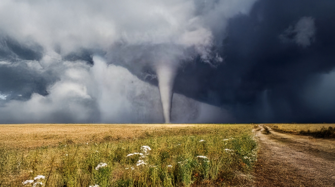 Bir insan hortumun içinde hayatta kalabilir mi: Bu bilim insanı bunu başaran az sayıda kişiden biri