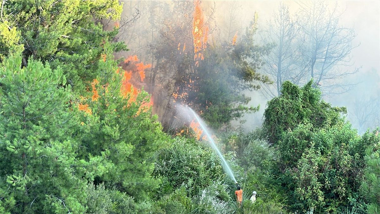 Antalya'da çıkan 2 ayrı orman yangınına müdahale ediliyor
