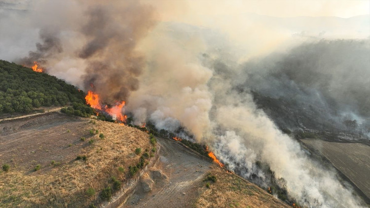Manisa'nın Saruhanlı ilçesinde orman yangını