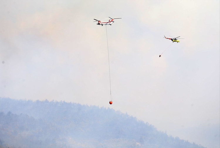 Manisa'nın Ahmetli ilçesinde çıkan orman yangınına müdahale ediliyor