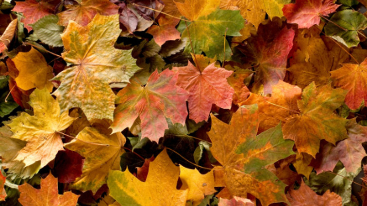 En doğalından bir kişisel gelişim hikayesi