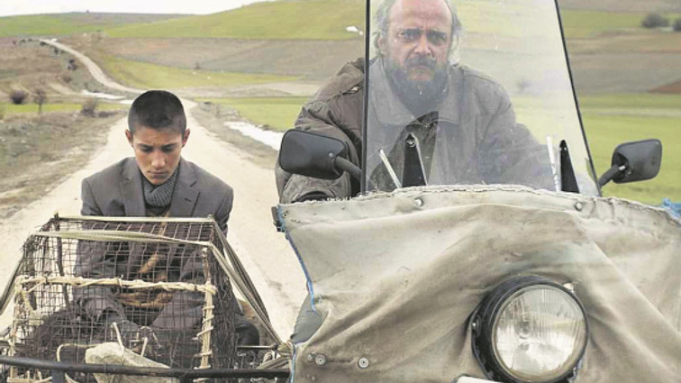 16 ödüllü Tavşan İmparatorluğu