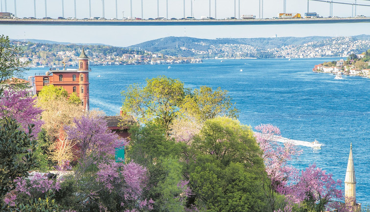 Boğaz’da erguvan yağmuru başladı