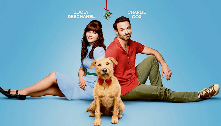 Biz ayrılıyoruz da köpeğimiz ne olacak?