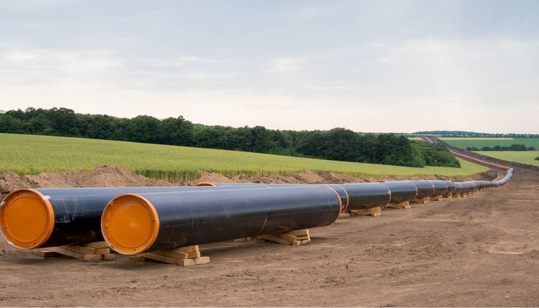 Sırbistan Cumhurbaşkanı duyurdu: Kritik boru hattının yakınında patlayıcı bulundu