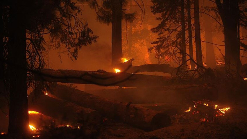 BM: Orman yangınları tüm ülkeleri tehdit ediyor