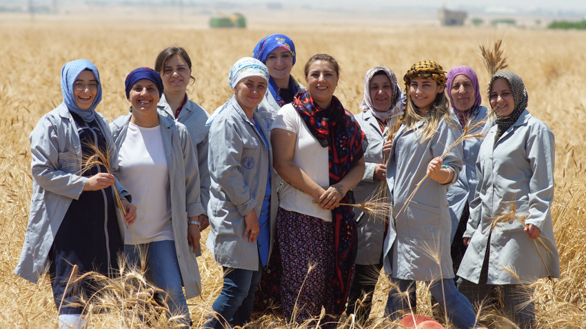 Toprakta karbon kötü bir şey değil!