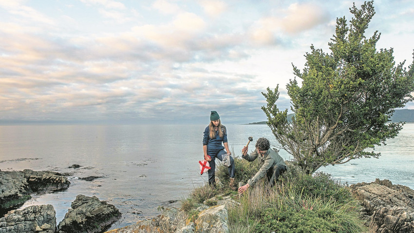 Biyolog Toby Kiers (solda) ve Merlin Sheldrake Şili’nin Chaihuin sahilinde toprak örnekleri alıyor