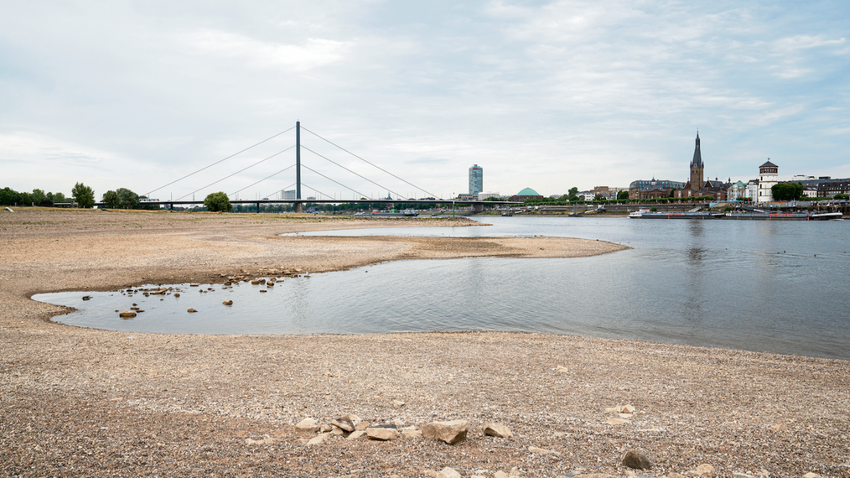 Avrupa’nın bu yıl yaşadığı büyük kuraklık Düsseldorf yakınlarıda çekilen bu fotoğrafta Ren Nehri’nin düşen su seviyesinde de görülebiliyor