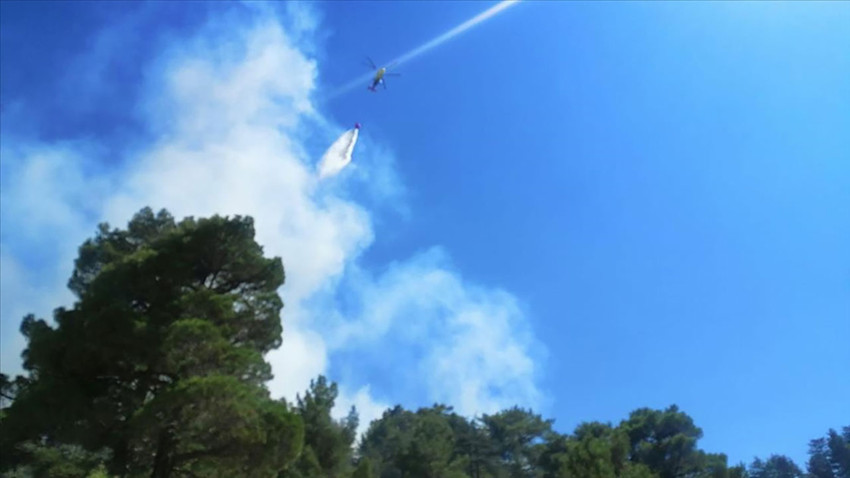 Kaş'ta orman yangını: Karadan ve havadan müdahale ediliyor