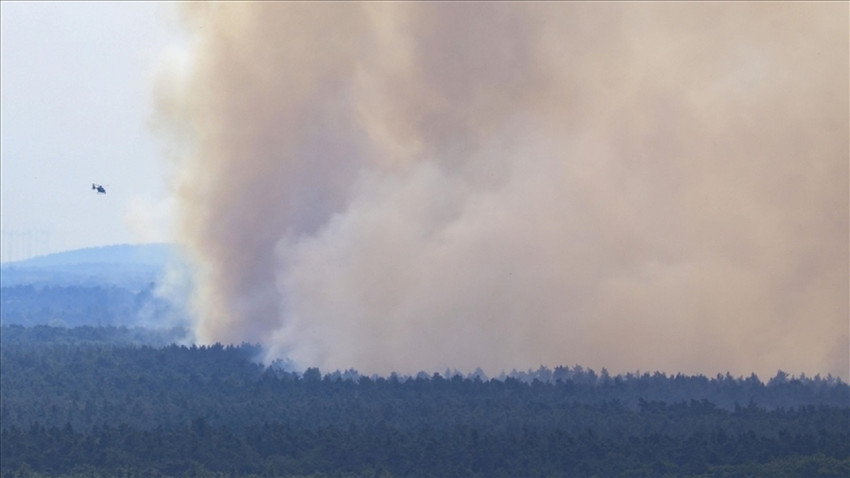 Almanya’da Harz Dağları'nda çıkan orman yangını nedeniyle acil durum ilan edildi