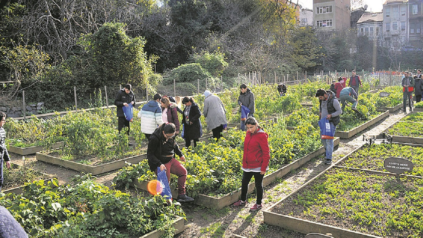 Şehrin göbeğinde tarım: Kent çiftçileri giderek çoğalıyor