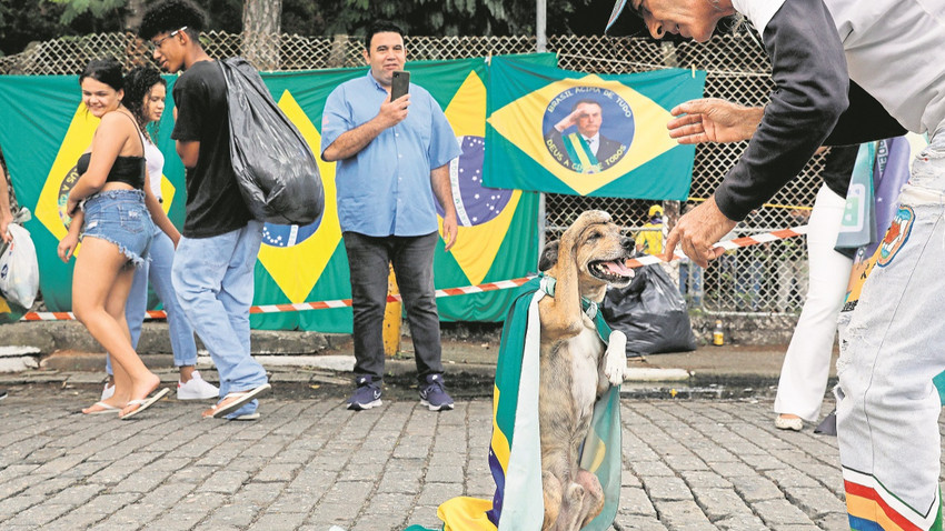 Bolsonaro yanlısı bir Brezilyalının köpeği Pepe bir miting öncesinde sahibine selam veriyor.  CAIO GUATELLI/AFP via Getty Images