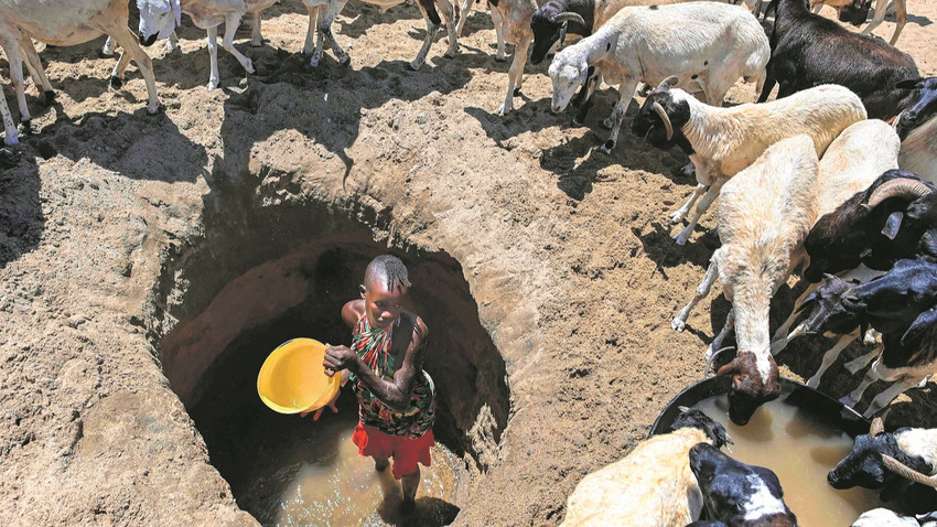 Kenya’da kuraklığın vurduğu Turkana bölgesinde genç bir kadın kuyudan aldığı suyu keçilerine veriyor. Fotoğraf: Tony Karumba /AFP via Getty Images