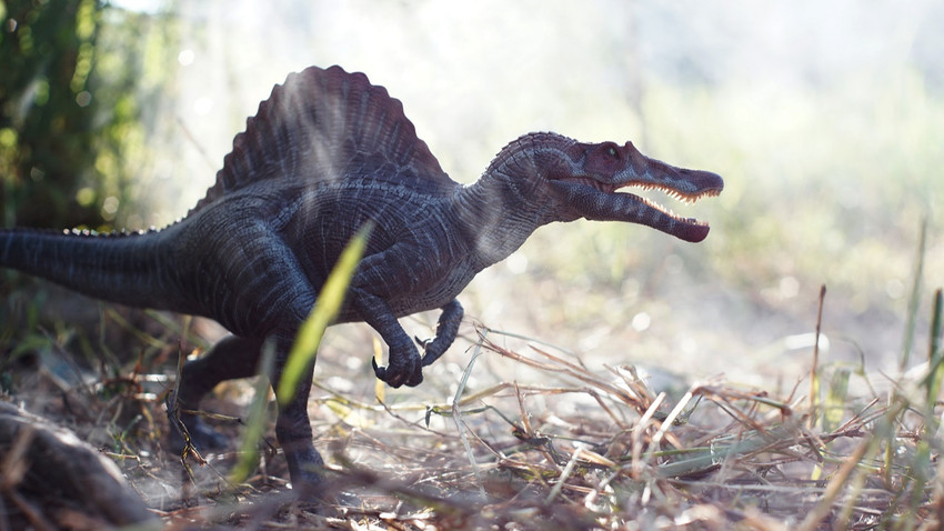 Araştırma: Dinozor türü Spinosaurus hem karada hem de suda yaşamış olabilir
