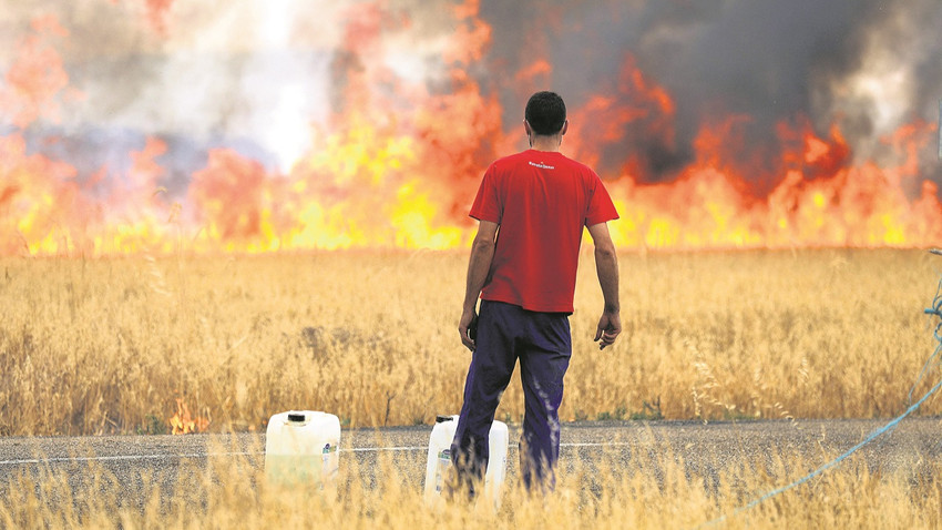 İspanya’nın Zamora eyaletinde bir çoban bu yılki sıcak hava dalgası sırasında yanan buğday tarlasını izliyor. (Fotoğraf: Isabel Infantes/Reuters)