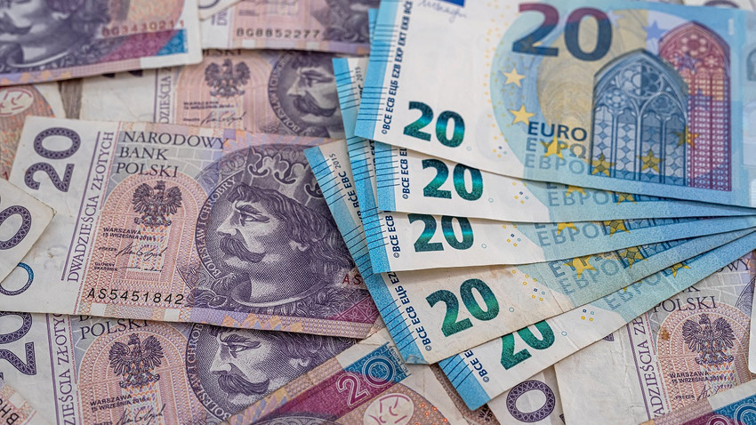 Polonya Merkez Bankası Başkanı: Euroya geçiş ülke için son derece zararlı olur