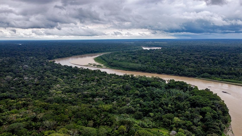 Amazonlar'da şubat ayında ormansızlaştırma rekoru kırıldı