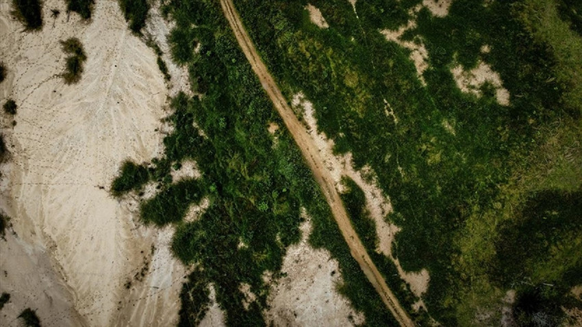 Kolombiya'da son 5 yılda 210 bin 880 hektar ormanlık alan yok oldu