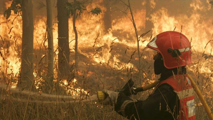 İspanya'da yılın ilk büyük orman yangını: 4 bin 600 hektarlık alan kül oldu