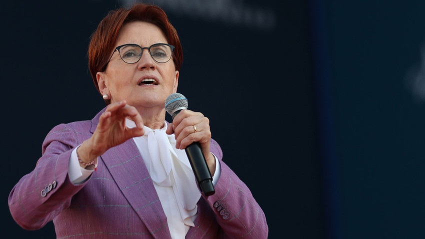 Meral Akşener’den Erdoğan'a 'Tür' tepkisi: Bitki miyiz? Hayvan mıyız? Biz neyiz?