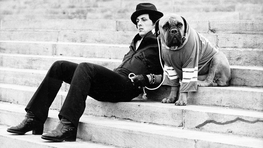 Sylvester Stallone ve köpeği Rocky’de.  Fotoğraf: Getty Images
