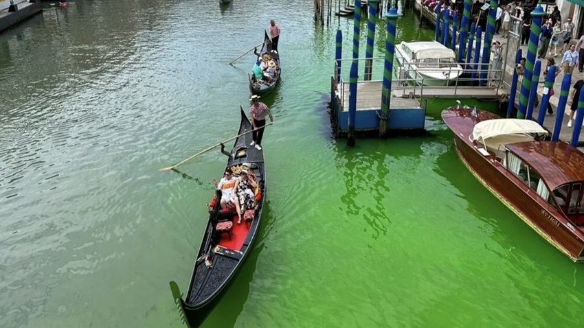Venedik’te Büyük Kanal yeşile döndü