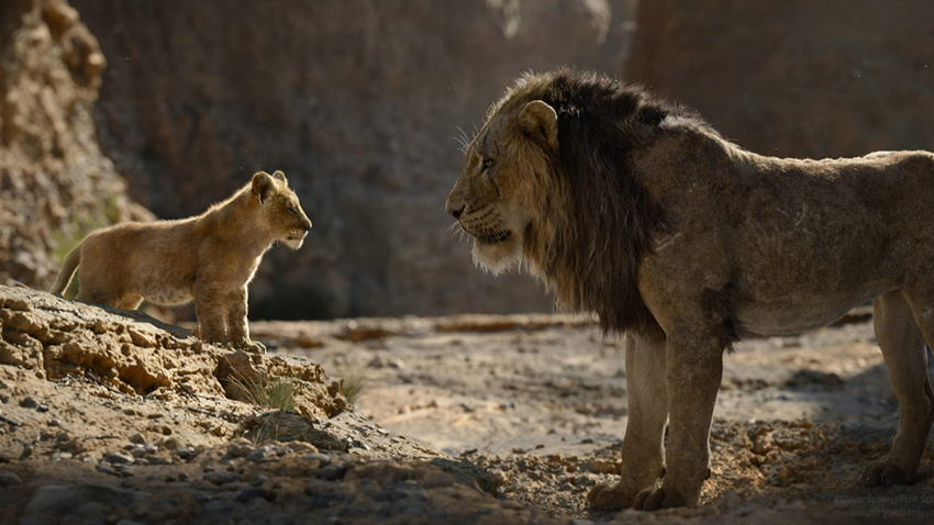 Disney duyurdu: Aslan Kral Evreni geliyor