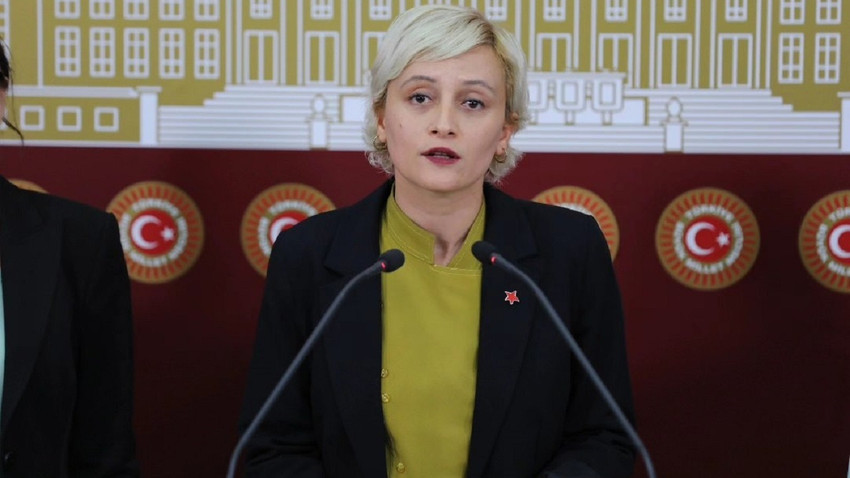 Yeşil Sol Parti'li Koca: Toplumsal Özgürlük Partisi kriminalize edilmek isteniyor