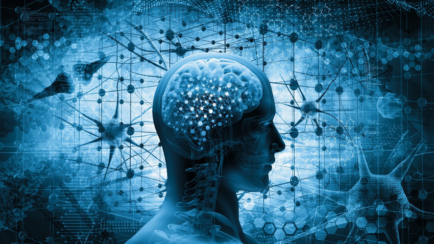 Enflamasyon beyni altüst ediyor