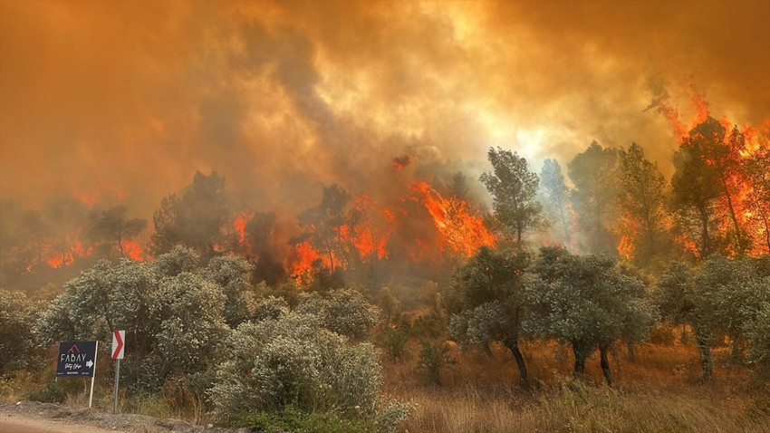 Adalet Bakanı'ndan orman yangını açıklaması: 7 şüpheli tespit edildi