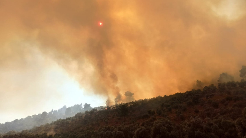 Milas-Bodrum Havalimanı yolunda ormanlık alanda çıkan yangın etkisini sürdürüyor
