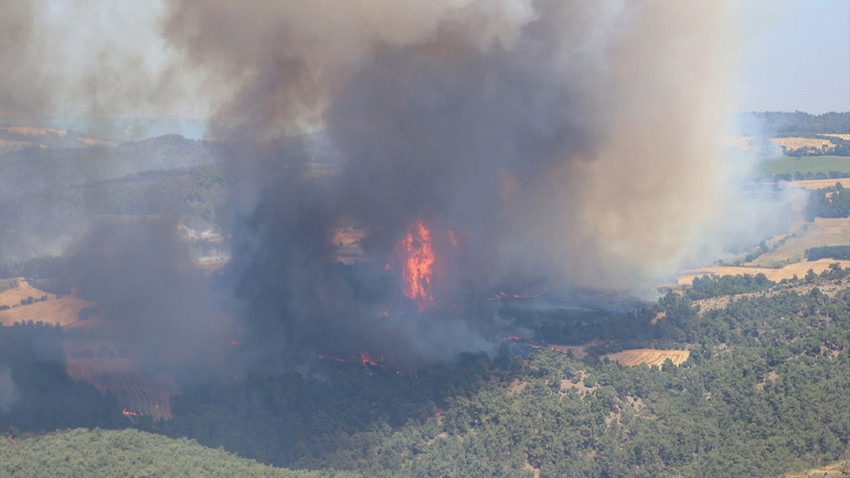 Orman yangınlarıyla mücadele iki ilde devam ediyor
