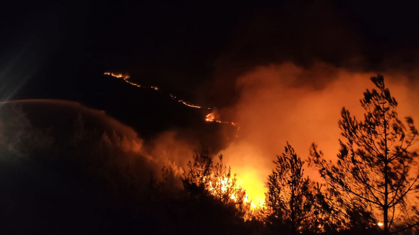Tarım ve Orman Bakanı Yumaklı: 19 orman yangınından 16'sı kontrole alındı
