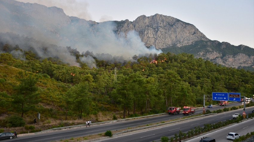 Bakan Ersoy: Antalya'daki yangını gün içinde kontrol altına almayı hedefliyoruz