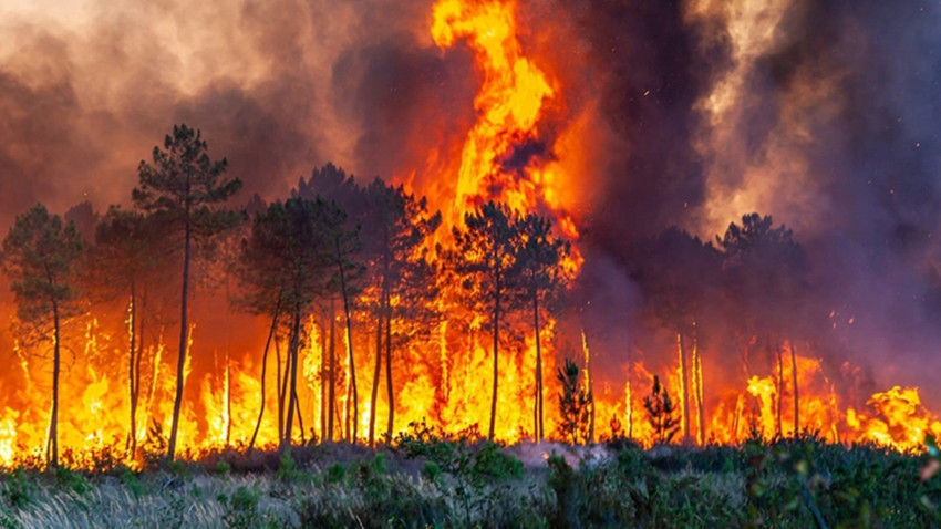 DSÖ: Kuzey yarım küredeki orman yangınları 40 kişinin ölümüne neden oldu
