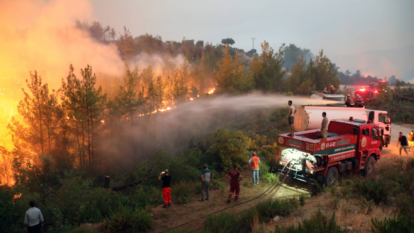 2 yıl önceki Manavgat yangınında zarar gören alanların tamamına yakını ağaçlandırıldı