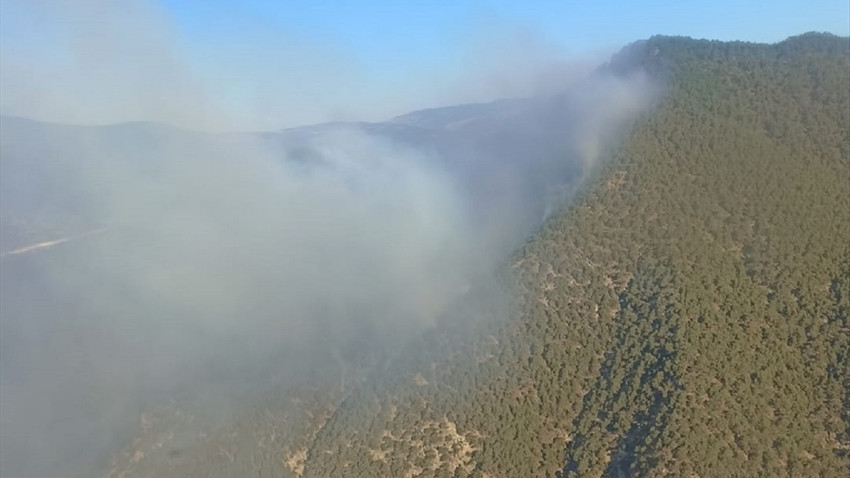 Bolu'da dün akşam yıldırım düşmesi sonucu çıkan orman yangınına müdahale sürüyor