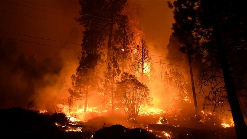 Kanada tarihinin en büyük orman yangınlarında hayatını kaybeden iftaiyeci sayısı 3'e çıktı