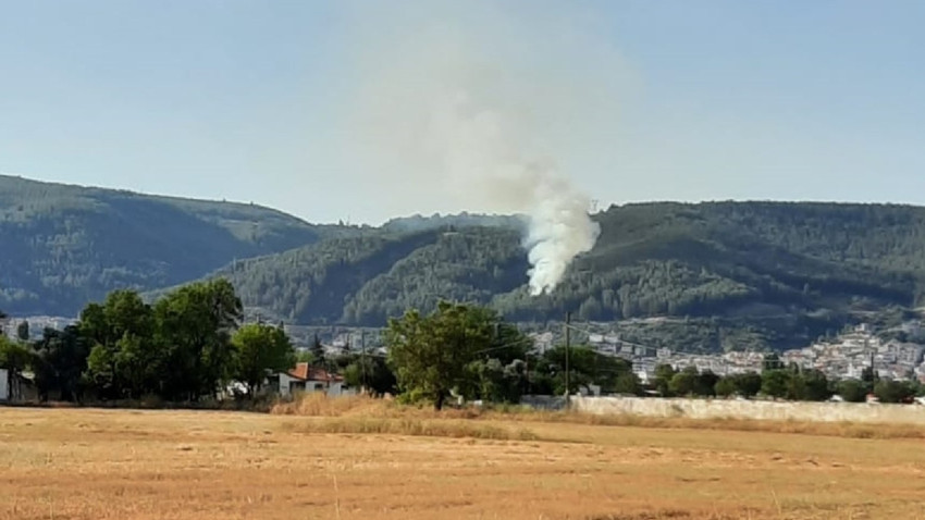 Muğla'nın Menteşe ilçesinde orman yangını çıktı