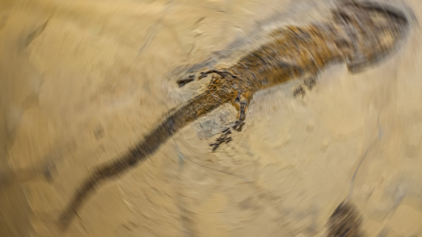 (Temsili Fotoğraf: Shutterstock)