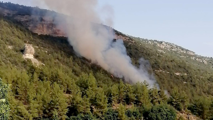 Mersin'de orman yangını çıktı