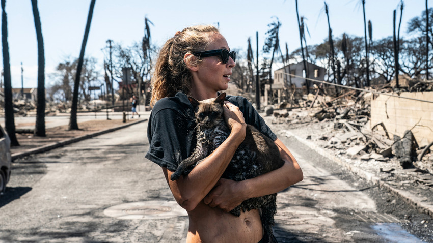 Fotoğraf: Go Nakamura/The New York Times